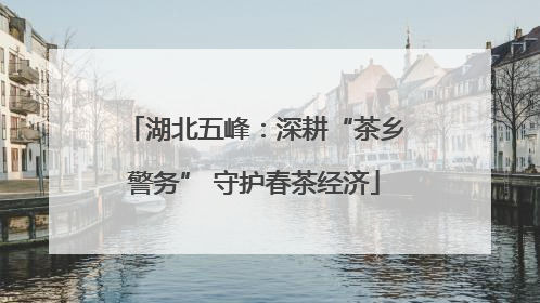 湖北五峰：深耕“茶乡警务” 守护春茶经济
