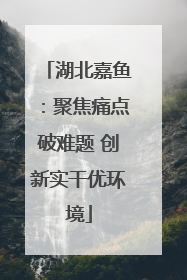 湖北嘉鱼：聚焦痛点破难题 创新实干优环境