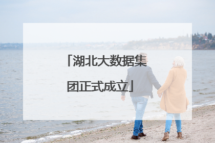湖北大数据集团正式成立