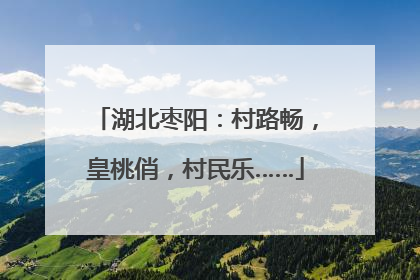 湖北枣阳：村路畅，皇桃俏，村民乐……