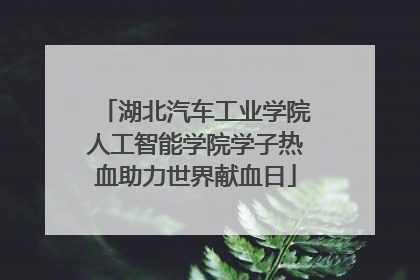 湖北汽车工业学院人工智能学院学子热血助力世界献血日