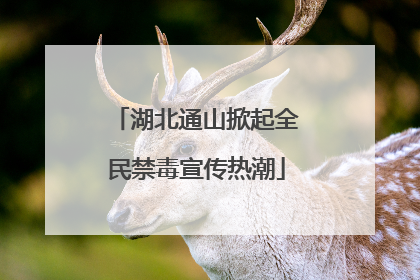 湖北通山掀起全民禁毒宣传热潮
