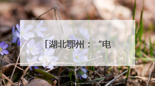 湖北鄂州：“电小二”护航半导体集群新征程