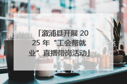 溆浦县开展 2025 年“工会帮就业”直播带岗活动
