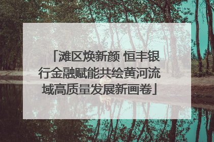 滩区焕新颜 恒丰银行金融赋能共绘黄河流域高质量发展新画卷