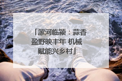 漯河临颍：蒜香盈野映丰年 机械赋能兴乡村