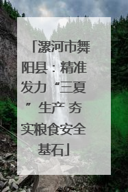 漯河市舞阳县：精准发力“三夏”生产 夯实粮食安全基石