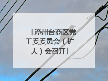 漳州台商区党工委委员会（扩大）会召开