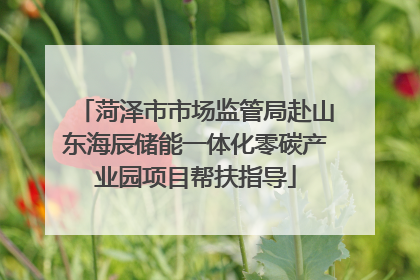 菏泽市市场监管局赴山东海辰储能一体化零碳产业园项目帮扶指导