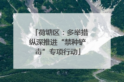 荷塘区：多举措纵深推进“禁种铲毒”专项行动