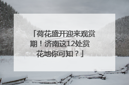 荷花盛开迎来观赏期！济南这12处赏花地你可知？