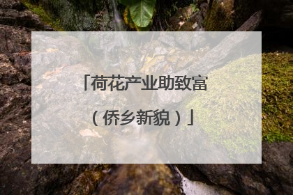 荷花产业助致富（侨乡新貌）