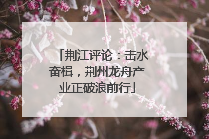 荆江评论：击水奋楫，荆州龙舟产业正破浪前行