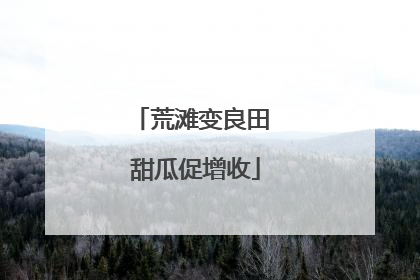 荒滩变良田 甜瓜促增收