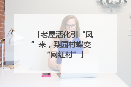 老屋活化引“凤”来，梨园村蝶变“网红村”