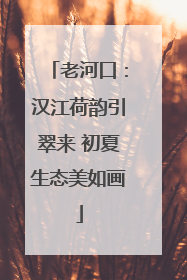 老河口：汉江荷韵引翠来 初夏生态美如画