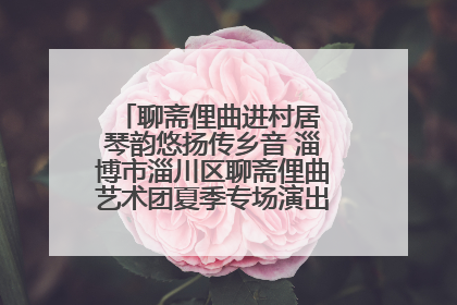 聊斋俚曲进村居 琴韵悠扬传乡音 淄博市淄川区聊斋俚曲艺术团夏季专场演出在杏园子村举行
