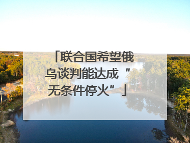 联合国希望俄乌谈判能达成“无条件停火”