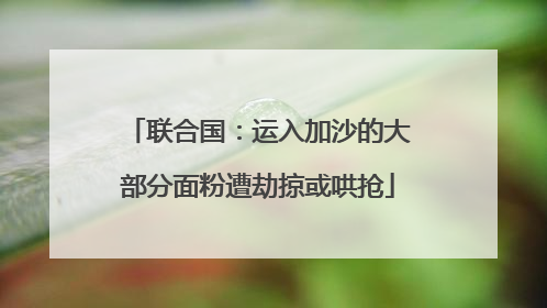 联合国：运入加沙的大部分面粉遭劫掠或哄抢