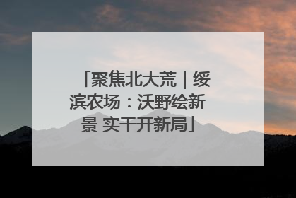 聚焦北大荒｜绥滨农场：沃野绘新景 实干开新局