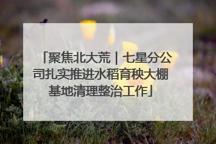 聚焦北大荒｜七星分公司扎实推进水稻育秧大棚基地清理整治工作