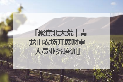 聚焦北大荒｜青龙山农场开展财审人员业务培训