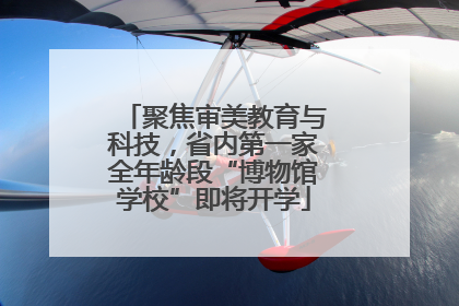 聚焦审美教育与科技，省内第一家全年龄段“博物馆学校”即将开学