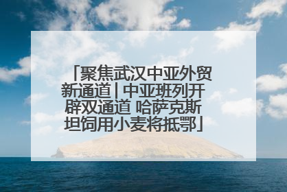 聚焦武汉中亚外贸新通道│中亚班列开辟双通道 哈萨克斯坦饲用小麦将抵鄂