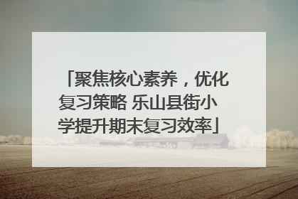 聚焦核心素养，优化复习策略 乐山县街小学提升期末复习效率
