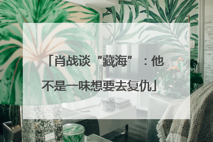 肖战谈“藏海”：他不是一味想要去复仇