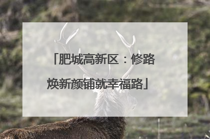 肥城高新区：修路焕新颜铺就幸福路
