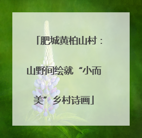 肥城黄柏山村：山野间绘就“小而美”乡村诗画