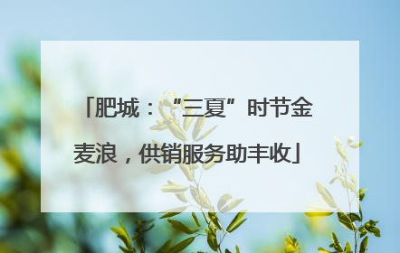 肥城：“三夏”时节金麦浪，供销服务助丰收
