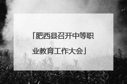 肥西县召开中等职业教育工作大会
