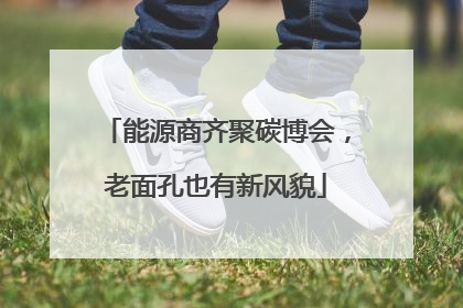 能源商齐聚碳博会，老面孔也有新风貌