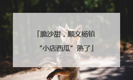 脆沙甜，顺义杨镇“小店西瓜”熟了