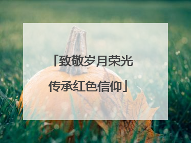 致敬岁月荣光 传承红色信仰