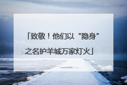 致敬！他们以“隐身”之名护羊城万家灯火