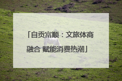 自贡富顺：文旅体商融合 赋能消费热潮