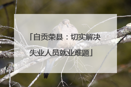 自贡荣县：切实解决失业人员就业难题