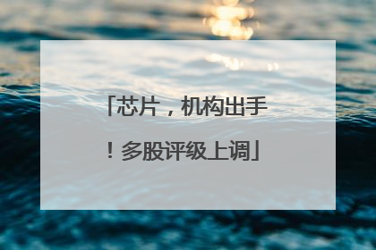 芯片，机构出手！多股评级上调