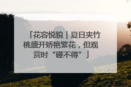 花容悦貌｜夏日夹竹桃盛开娇艳繁花，但观赏时“碰不得”