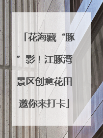 花海藏“豚”影！江豚湾景区创意花田邀你来打卡
