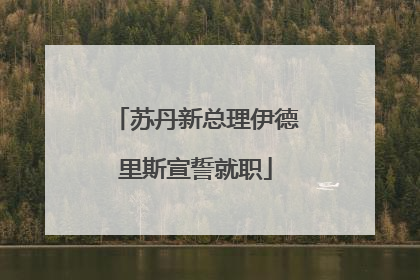 苏丹新总理伊德里斯宣誓就职