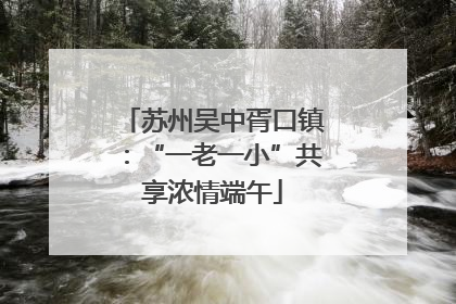 苏州吴中胥口镇：“一老一小”共享浓情端午