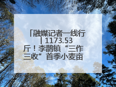 融媒记者一线行丨1173.53斤！李鹊镇“三作三收”首季小麦亩产创新高