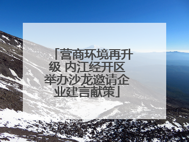营商环境再升级 内江经开区举办沙龙邀请企业建言献策