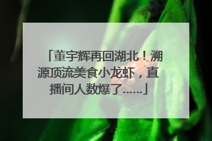 董宇辉再回湖北！溯源顶流美食小龙虾，直播间人数爆了……