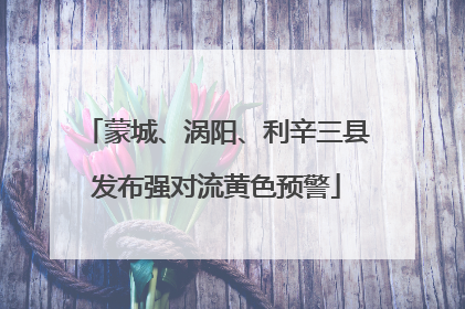 蒙城、涡阳、利辛三县发布强对流黄色预警