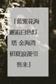蓝紫花海邂逅白色灯塔 金海湾初夏浪漫引客来